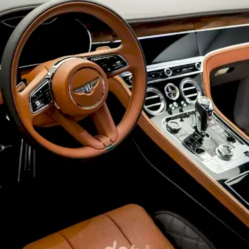 bentley-continental-gracioznoe-kupe-klassa-lyuks-dlya-istinnyh-aristokratov-9